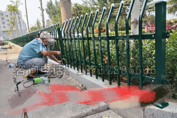 山东（dōng）枣庄（zhuāng）市城市（shì）绿（lǜ）化改造工程